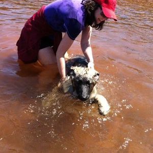 Meet your Posher, Laura